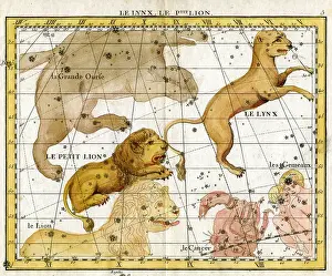 Flamsteed: Lynx, Little Lion