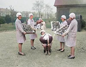 Fromcolourisedpic: LYONS EASTER EGG GIRLS