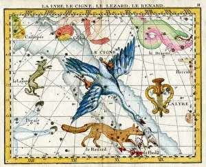 Flamsteed: Lyre, Cygne (Swan), Lizard, Fox