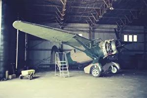 Booker: Lysander at Booker