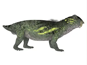 Synapsid: Lystrosaurus dinosaur, side profile