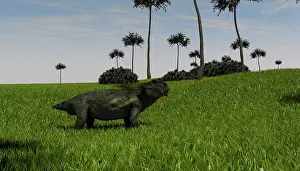 Dicynodont: Lystrosaurus in a grassy field
