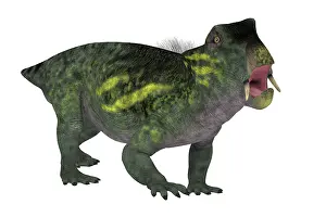 Synapsid: Lystrosaurus prehistoric animal, side view on