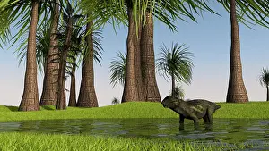 Dicynodont: Lystrosaurus in shallow water