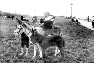Lytham: Lytham, Favourites 1914