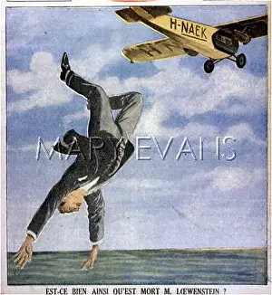 Mistakes: M LOEWENSTEIN'S MISTAKE