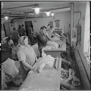 Capabilities: M. Patova, leather grinder, fur