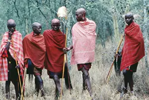 Beadwork: Maasai initiates, Kajiado