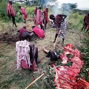 Pastoralists: Maasai warriors preparing meat for a ceremony