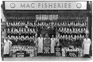 Turkeys: MAC FISHERIES POULTERERS