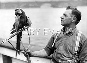 Receding: MACAW AND TRAINER