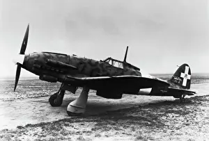 Castoldi: Macchi C-205N Orione