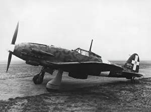 Castoldi: Macchi C-205N Orione