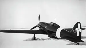 Piston Engine: Macchi C-205N Orione