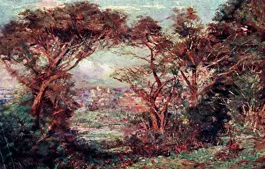 Mccubbin: At Macedon