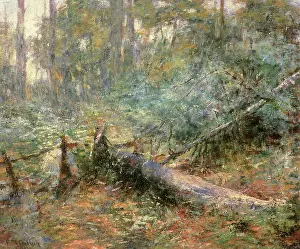 Macedon: At Macedon