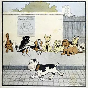 Apprehensively: MACHO DOG PASSES