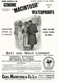 Macintosh: Macintosh advertisement, 1891