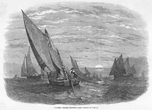 Mackerel: MACKEREL FISHING 1847