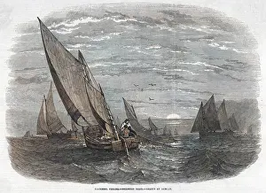 Mackerel: MACKEREL FISHING 1847