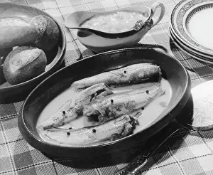 Mackerels: MACKERELS IN SAUCE