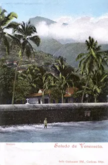 Venezuela: Macuto, Venezuela, Central America
