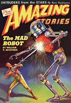 Mcgivern: The Mad Robot by William P Mcgivern