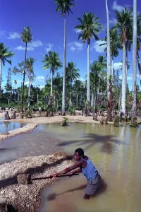 Ilakaka: Madagascar - Sapphire mining