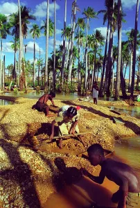 Ilakaka: Madagascar - Sapphire mining