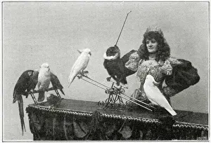 Cockatoos: Madame Marzella with her birds