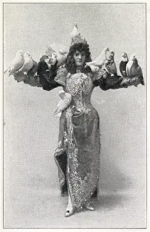 Cockatoos: Madame Marzella with her birds