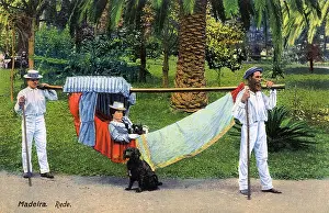 Contrivance: Madeira - Transporting Hammock