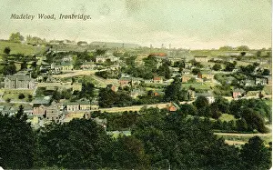 Telford: Madeley Wood, Ironbridge, Shropshire