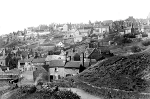 Madeley: Madeley Wood, from the South 1896
