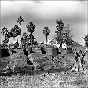 Terracing: Madhya Pradesh - India