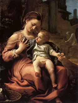Icons: The Madonna of the Basket, by Correggio