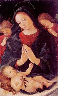 Liberale: Madonna with goldfinch