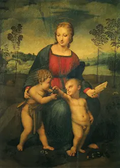 Goldfinch: Madonna of the Goldfinch, by Raphael