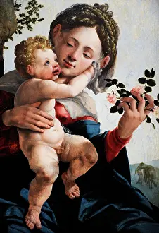 1530: Madonna with Wild Roses, c. 1530, by Jan van Scorel (1495-15