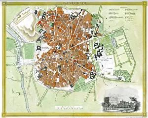 Dower: Madrid