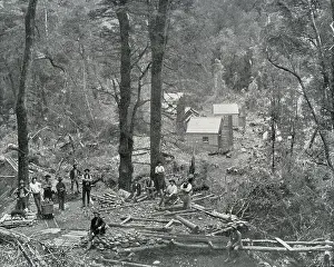 Clearing: Maestri Silver Mine, Dundas, Montagu County, Tasmania, Austr