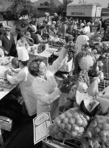 Collective: Magarif Collective Farm