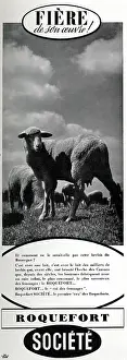 Cheese: Magazine Advertisement for Roquefort cheese