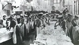 Orphans: Magdalen Home Laundry