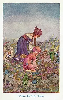 Toadstools: Within the Magic Circle