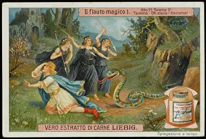 Pursuing: Magic Flute - Liebig 1