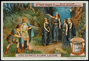 Rescuers: Magic Flute - Liebig 2