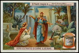 Sarastro: Magic Flute - Liebig 4