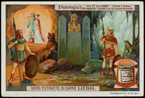 Tamino: Magic Flute - Liebig 5