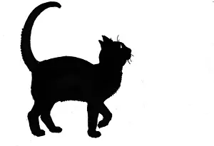Cats: Magic Lamplighter